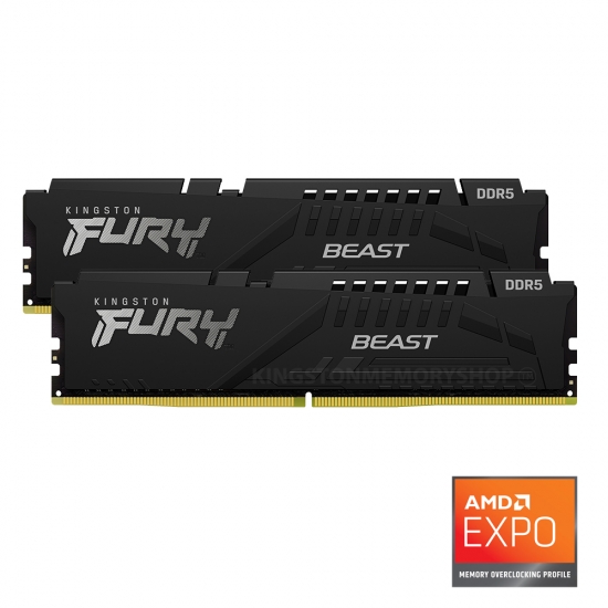 32G(16G*2) 5600MT/S DDR5 CL36 FURY BEAST BLACK