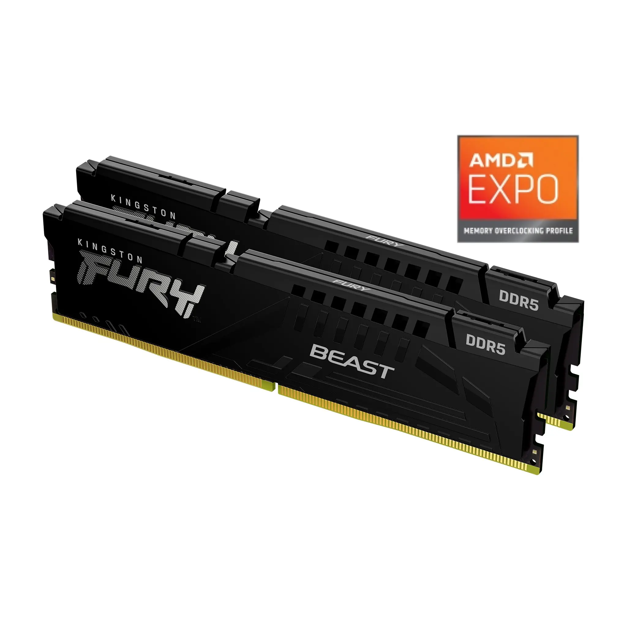 FURY Beast 64GB KIT (32GB*2) DDR5 6000MHz CL36