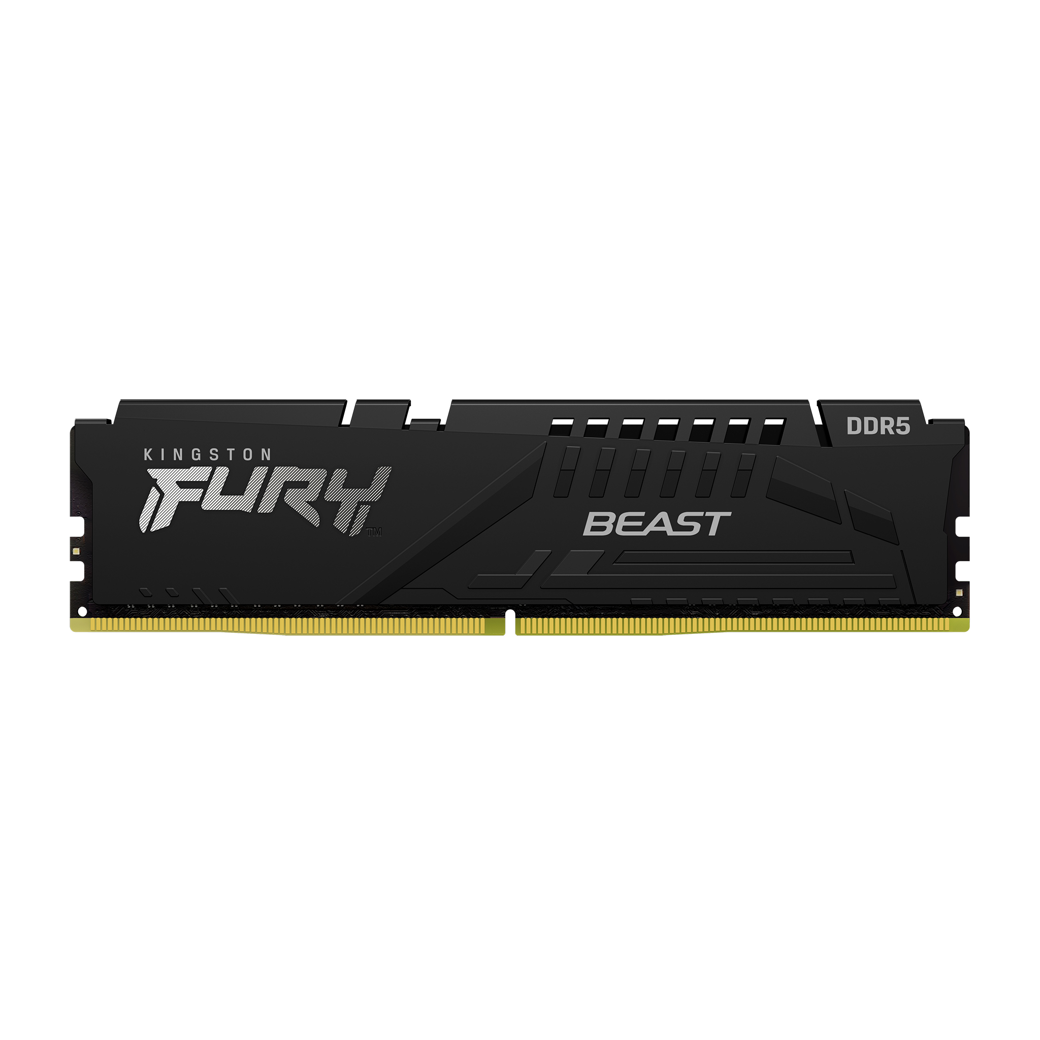 FURY BEAST 64G(32G*2) DDR5 5600MT/S BLACK